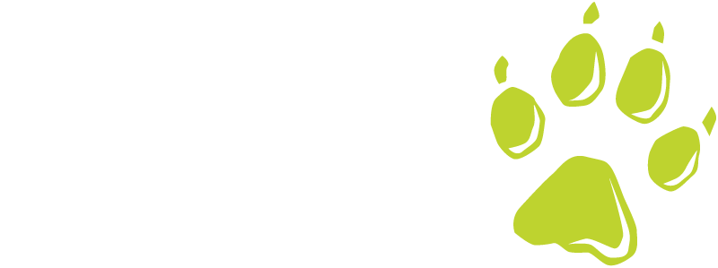 Wolfe Design Studio Logo with white text