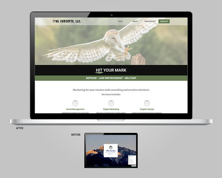 Web design Owl Concepts